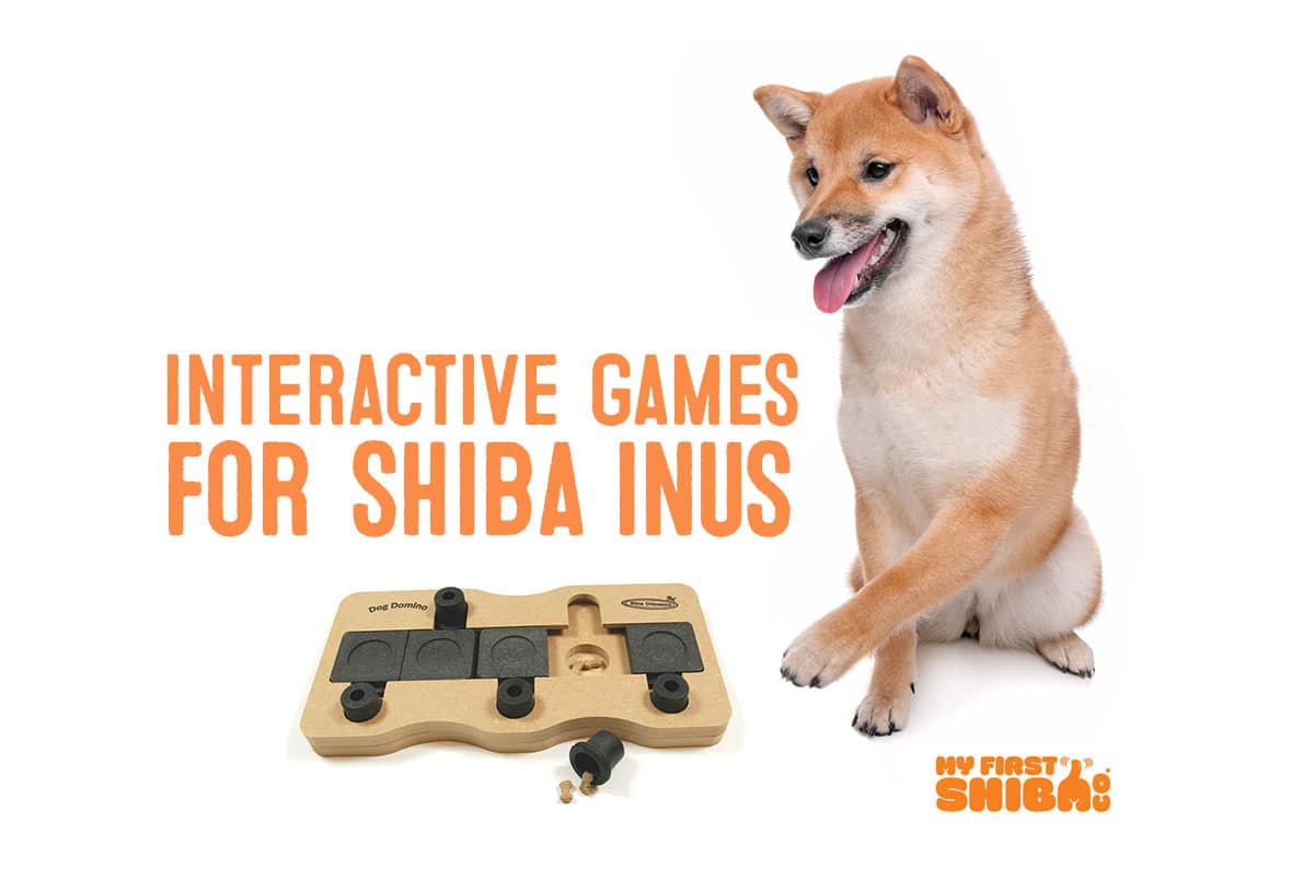 interactive dog games for Shiba Inus