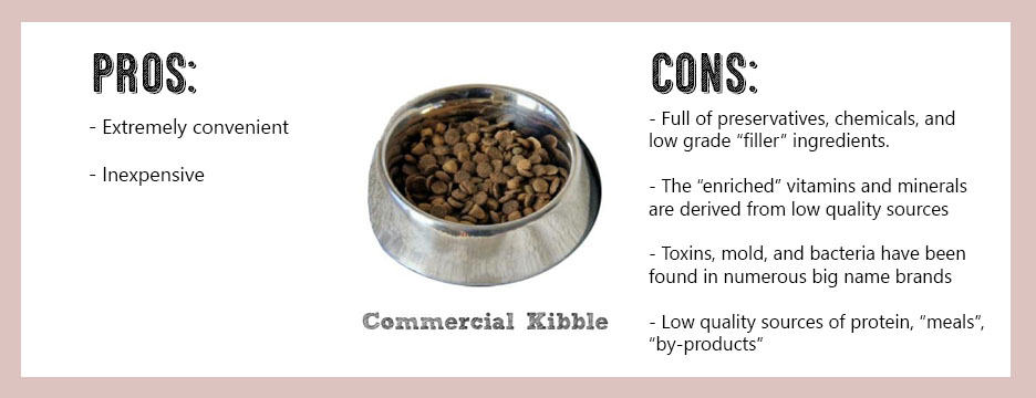 pros and cons of commercial dog food, kibble
