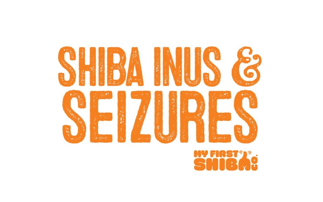 Shiba Inus and seizures