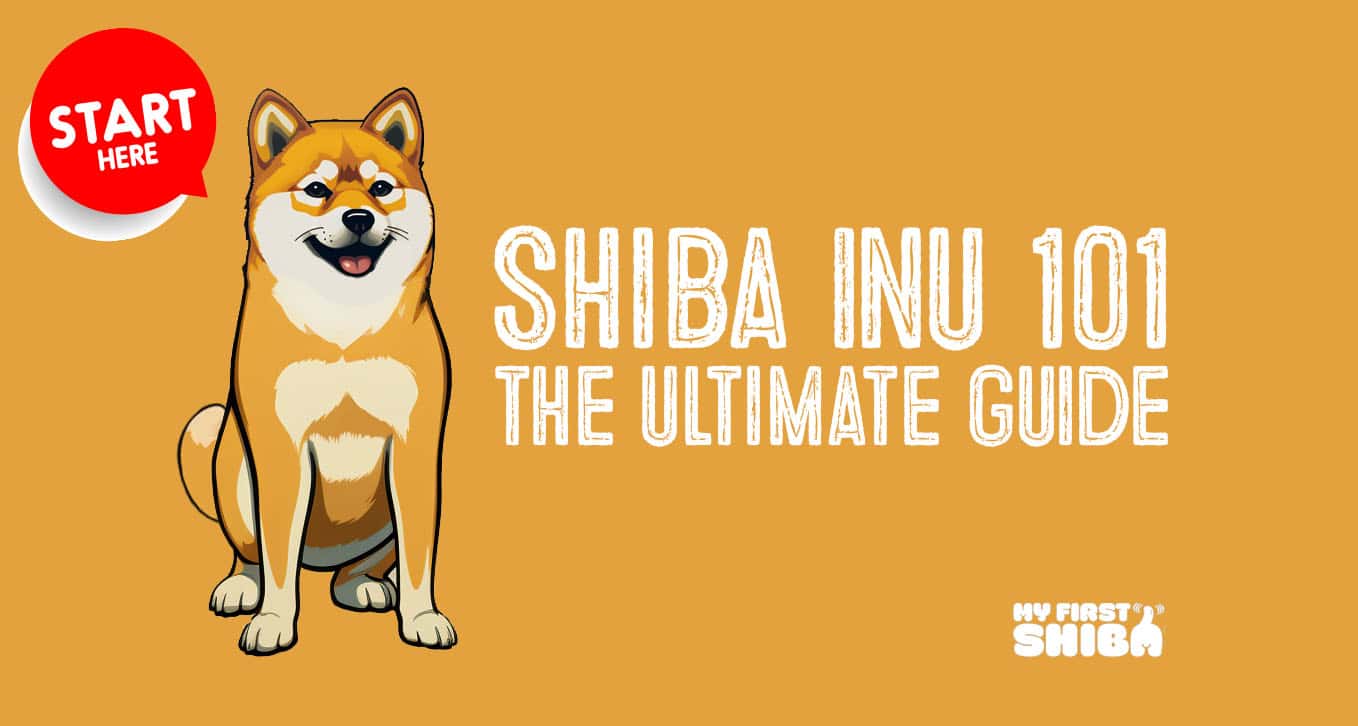 shiba inu ultimate guide