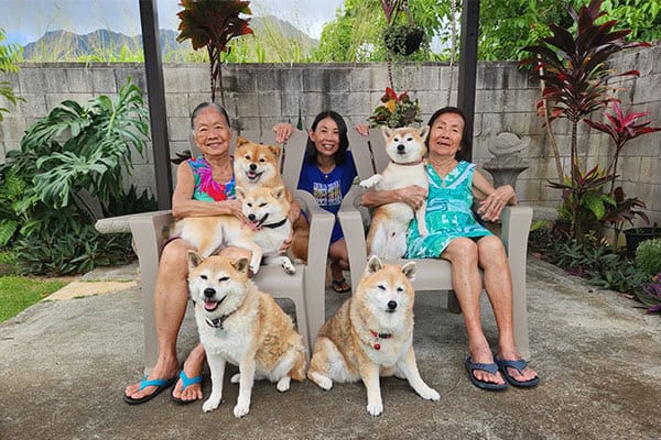 five red Shiba Inus with family 